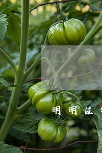 明明注销了信用卡却还逾期
