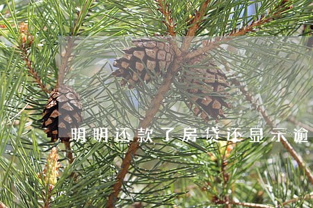 明明还款了房贷还显示逾期 明明还款了房贷还显示逾期