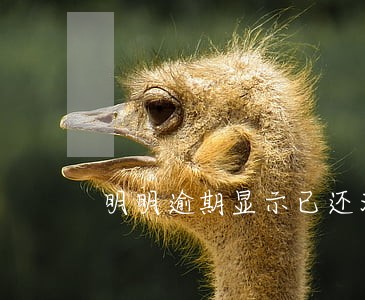 明明逾期显示已还清 明明逾期显示已还清
