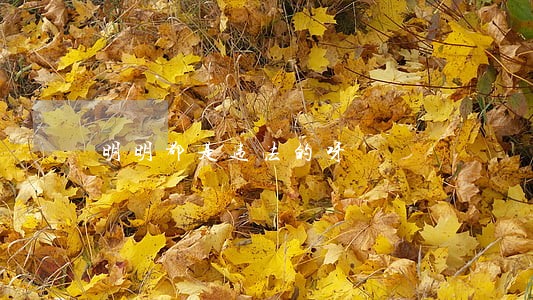 明明都是违法的呀 明明都是违法的呀