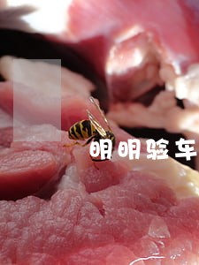明明验车了会显示逾期 明明验车了会显示逾期
