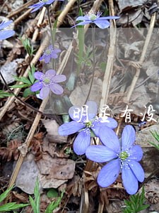 明星有没有信用卡逾期的 明星有没有信用卡逾期的