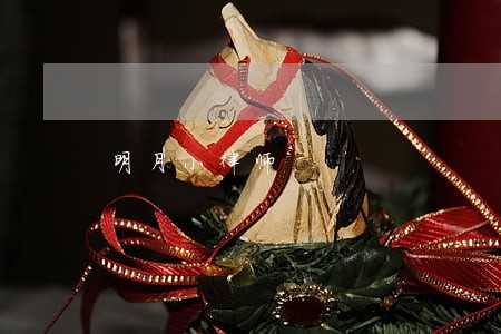 明月小律师 明月小律师