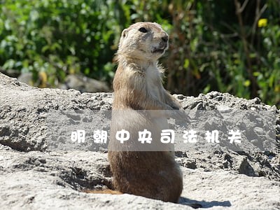 明朝中央司法机关 明朝中央司法机关