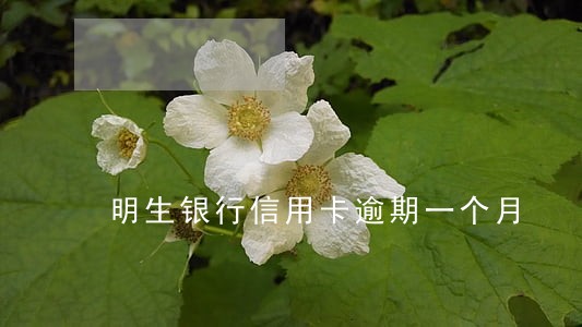 明生银行信用卡逾期一个月 明生银行信用卡逾期一个月