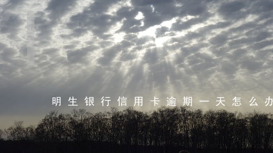 明生银行信用卡逾期一天怎么办 明生银行信用卡逾期一天怎么办