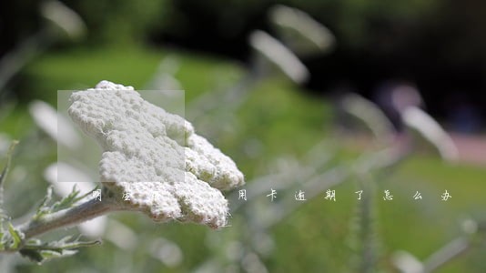 明生银行信用卡逾期了怎么办 明生银行信用卡逾期了怎么办