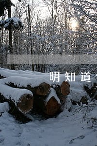 明知道他家串货还供他货违法吗 明知道他家串货还供他货违法吗