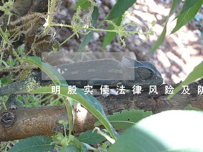 明股实债法律风险及防范 明股实债法律风险及防范