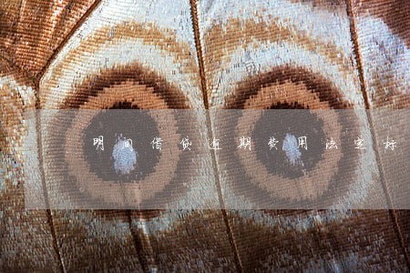 明间借贷逾期费用法定标准 明间借贷逾期费用法定标准