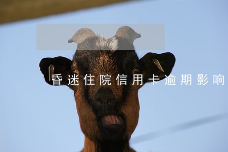 昏迷住院信用卡逾期影响征信吗 昏迷住院信用卡逾期影响征信吗