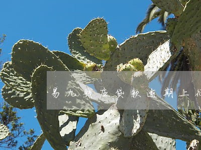 易九钱庄贷款逾期上征信吗 易九钱庄贷款逾期上征信吗