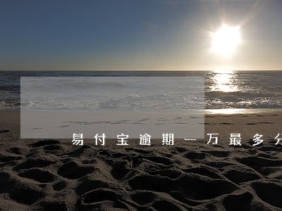 易付宝逾期一万最多分期多久