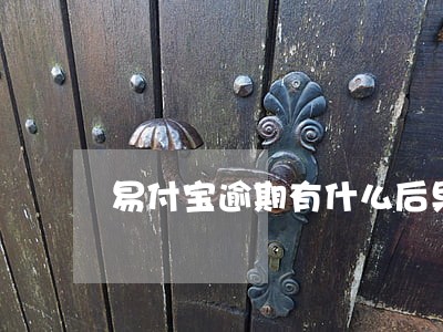 易付宝逾期有什么后果 易付宝逾期有什么后果