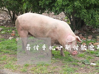 易付手机分期付款逾期6 易付手机分期付款逾期6