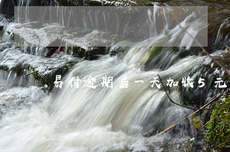 易付逾期后一天加收5元合法吗 易付逾期后一天加收5元合法吗
