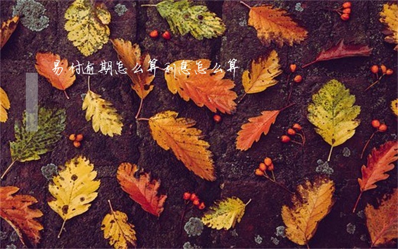易付逾期怎么算利息怎么算