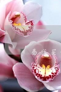 易代买的逾期费