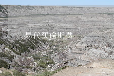 易代买逾期费 易代买逾期费
