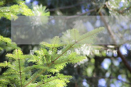 易信金融说我逾期可我没借过啊 易信金融说我逾期可我没借过啊