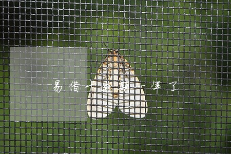 易借卡逾期一年了 易借卡逾期一年了