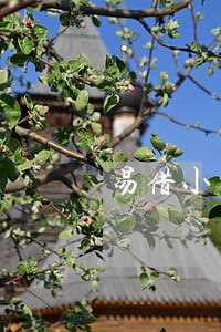 易借小贷逾期1天 易借小贷逾期1天