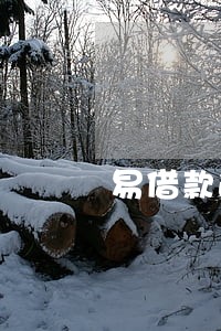 易借款逾期两天