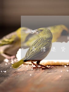 易借速贷逾期失联对方会报警吗 易借速贷逾期失联对方会报警吗