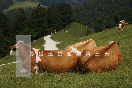易借速贷逾期第三天 易借速贷逾期第三天