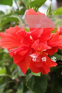 易借逾期一天会上征信吗 易借逾期一天会上征信吗