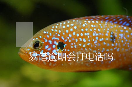 易借逾期会打电话吗 易借逾期会打电话吗