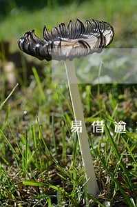 易借逾期会爆通讯录吗 易借逾期会爆通讯录吗