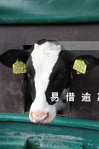 易借逾期几天后还能借款吗 易借逾期几天后还能借款吗