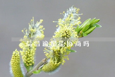 易借逾期能协商吗