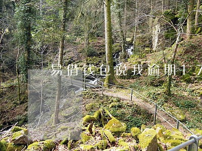 易借钱包说我逾期17天 易借钱包说我逾期17天