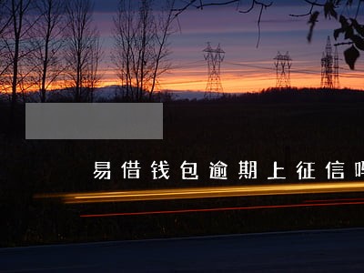 易借钱包逾期上征信吗