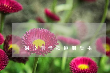 易分期借款逾期后果 易分期借款逾期后果