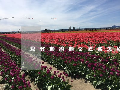 易分期逾期2天会怎样 易分期逾期2天会怎样