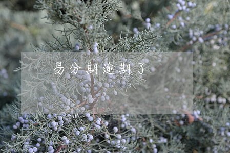 易分期逾期了