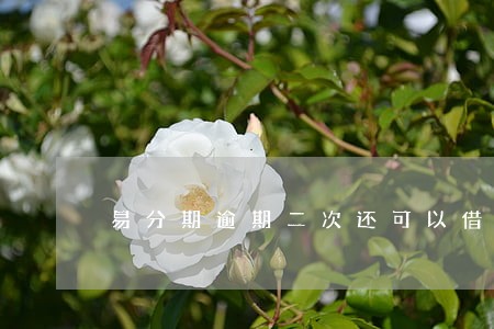 易分期逾期二次还可以借吗 易分期逾期二次还可以借吗