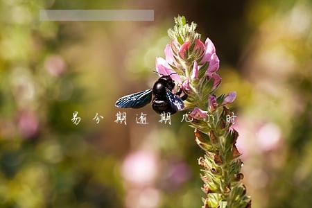 易分期逾期几小时 易分期逾期几小时