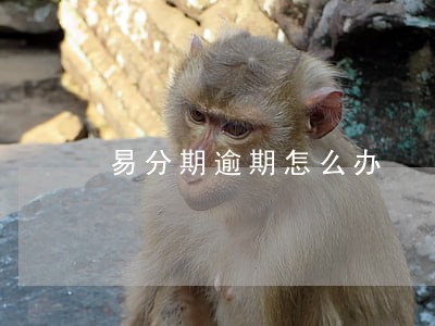 易分期逾期怎么办 易分期逾期怎么办