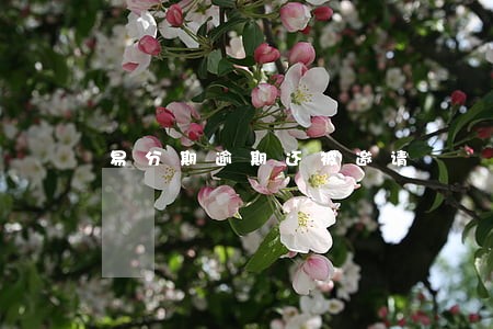 易分期逾期还被邀请 易分期逾期还被邀请