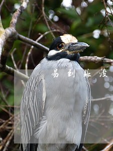 易到账没放款显示逾期 易到账没放款显示逾期