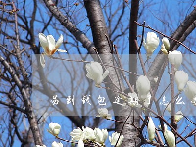 易到钱包逾期了怎么办 易到钱包逾期了怎么办