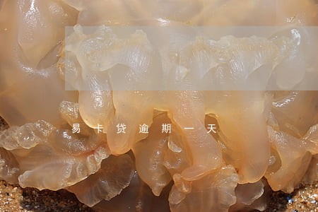 易卡贷逾期一天 易卡贷逾期一天