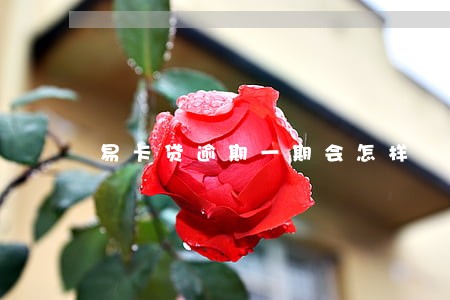 易卡贷逾期一期会怎样 易卡贷逾期一期会怎样