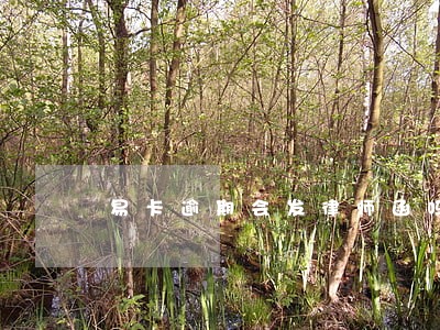 易卡逾期会发律师函吗 易卡逾期会发律师函吗