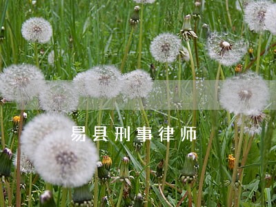 易县刑事律师 易县刑事律师