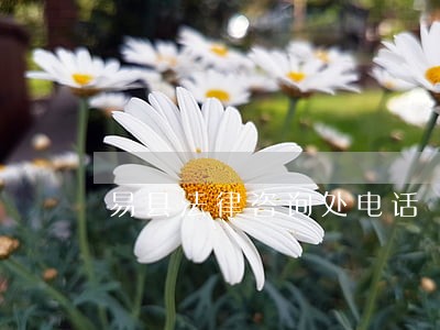 易县法律咨询处电话